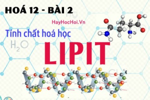 Tính chất hoá học, công thức cấu tạo của Lipit (chất béo) và bài tập - hoá 12 bài 2